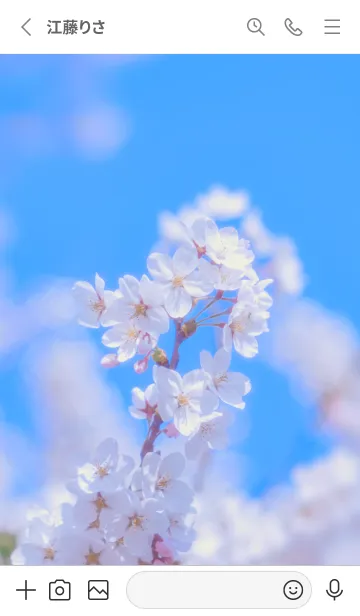 [LINE着せ替え] SakuraBokeh 20の画像2