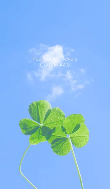 [LINE着せ替え] 四つ葉のクローバー Cuddle #7-9の画像1