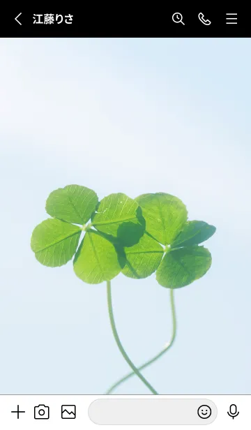 [LINE着せ替え] 四つ葉のクローバー Cuddle #8-9の画像2