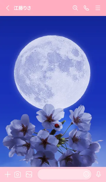 [LINE着せ替え] Sakura Full Moon #1-6の画像2