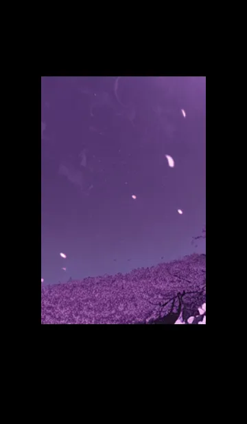 月光夜桜#DE219。の着せ替えメイン画像