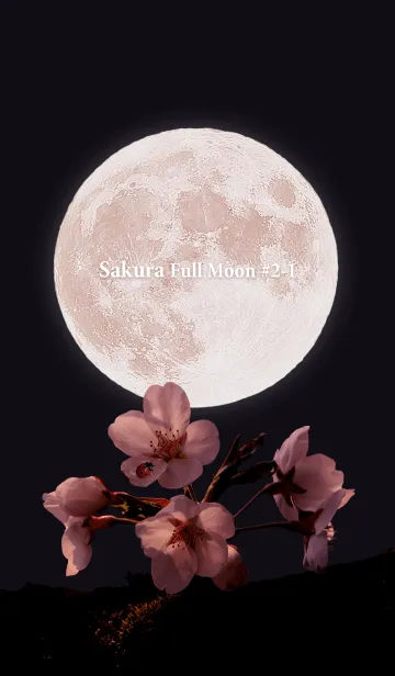 [LINE着せ替え] Sakura Full Moon #2-1の画像1