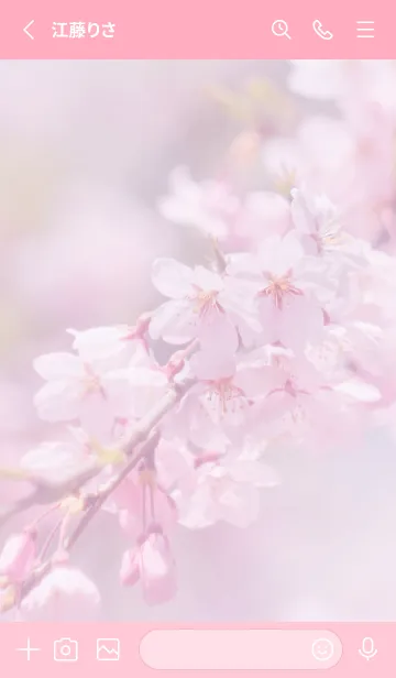 [LINE着せ替え] SakuraBokeh 22の画像2