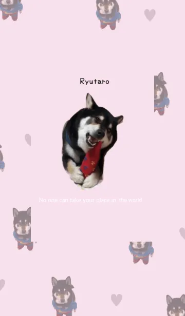 [LINE着せ替え] 黒柴龍太郎のきせかえの画像1