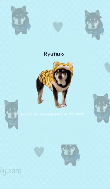 [LINE着せ替え] 黒柴龍太郎のきせかえ 3の画像1