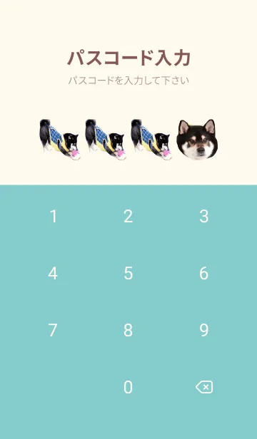 [LINE着せ替え] 黒柴龍太郎のきせかえ 3の画像4