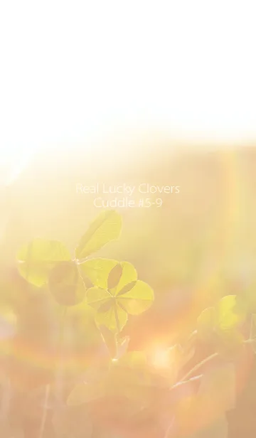 [LINE着せ替え] 四つ葉のクローバー Cuddle #5-9の画像1