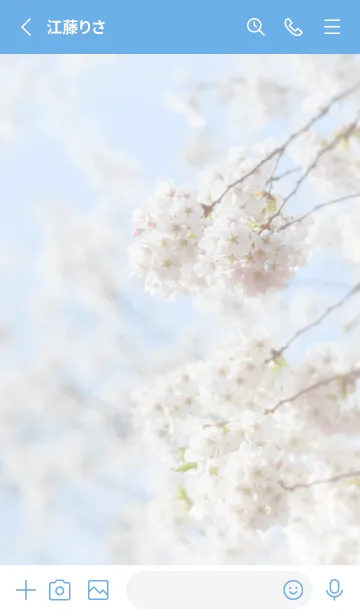 [LINE着せ替え] SakuraBokeh 23の画像2