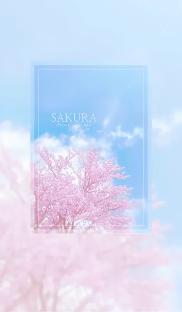 [LINE着せ替え] SAKURA 11 ／ナチュラルスタイルの画像1