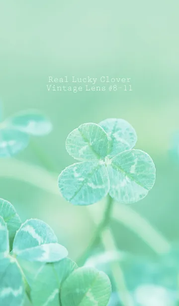 [LINE着せ替え] 四つ葉のクローバー Vintage Lens #8-11の画像1