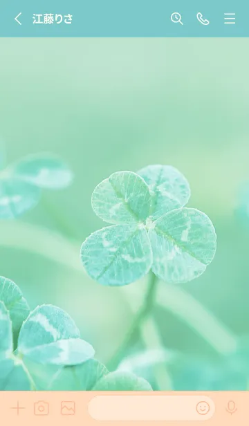 [LINE着せ替え] 四つ葉のクローバー Vintage Lens #8-11の画像2