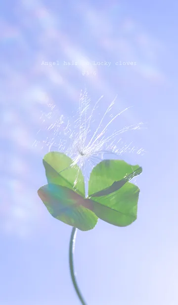 [LINE着せ替え] 幸運の妖精ケサランパサラン #3-6の画像1