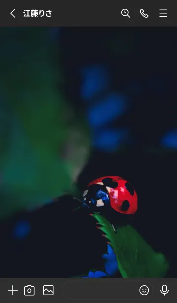 [LINE着せ替え] Ladybird Symbol of good luck #4-4の画像2