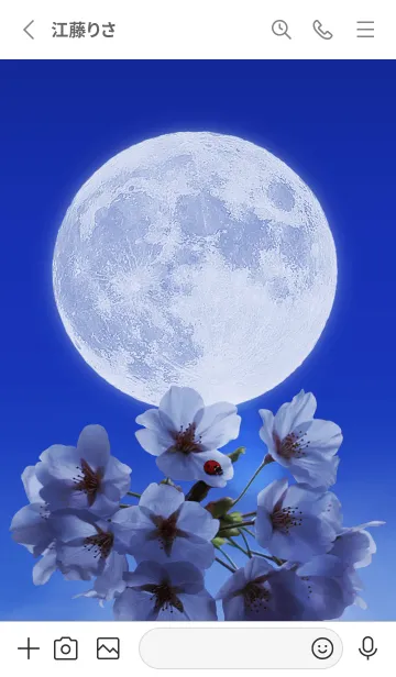 [LINE着せ替え] Sakura Full Moon #1-7の画像2