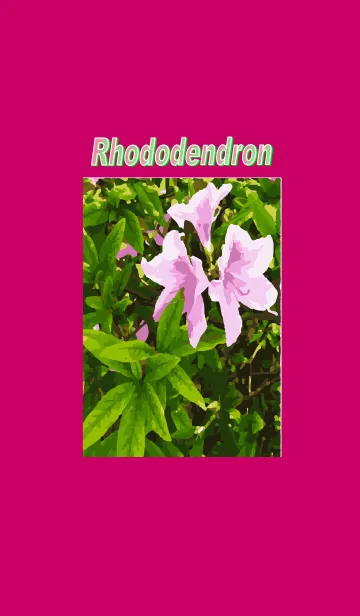 [LINE着せ替え] Rhododendron 2023の画像1