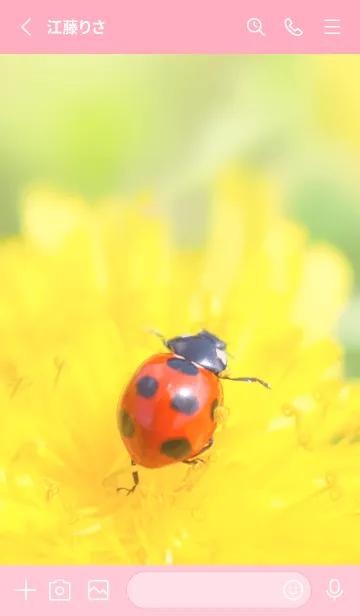 [LINE着せ替え] Ladybird Symbol of good luck #1-5の画像2