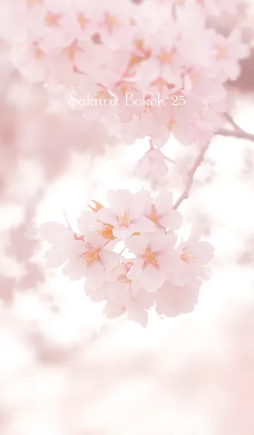 [LINE着せ替え] SakuraBokeh 25の画像1