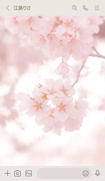 [LINE着せ替え] SakuraBokeh 25の画像2