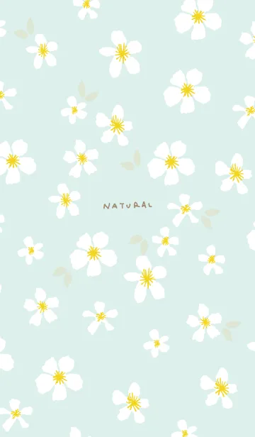 [LINE着せ替え] 白い花 大人カラー28の画像1