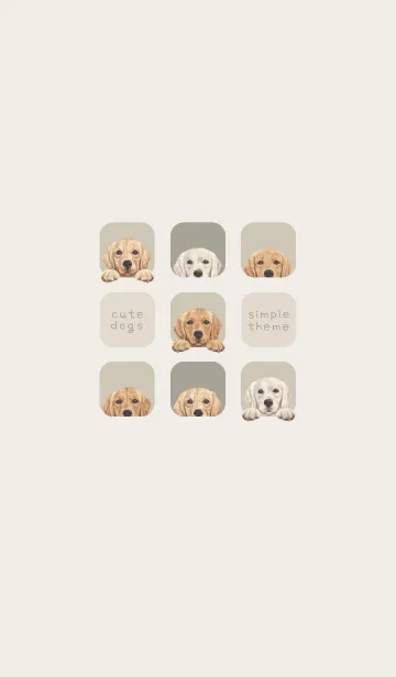 [LINE着せ替え] DOGS-ゴールデンレトリバー-グリーングレーの画像1