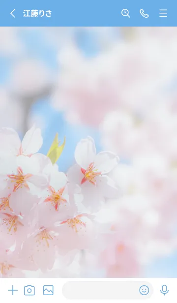 [LINE着せ替え] SakuraBokeh 26の画像2