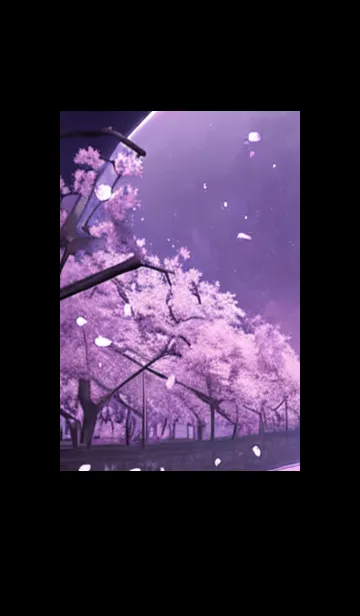 [LINE着せ替え] 月光夜桜#DK17。の画像1
