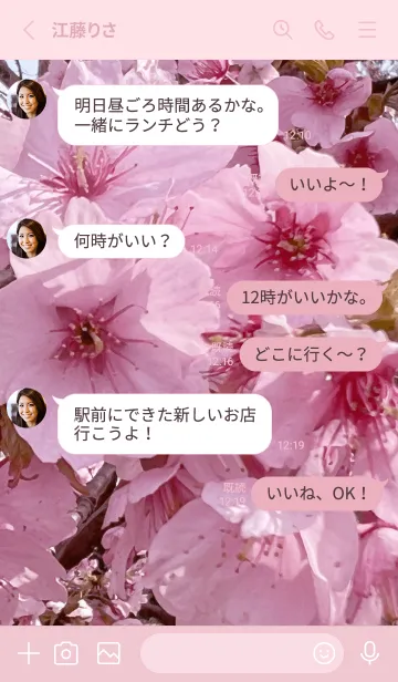 [LINE着せ替え] SAKURA - pink cherry blossom 2の画像3