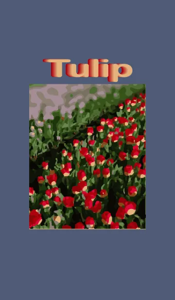 [LINE着せ替え] 2023 Tulipの画像1
