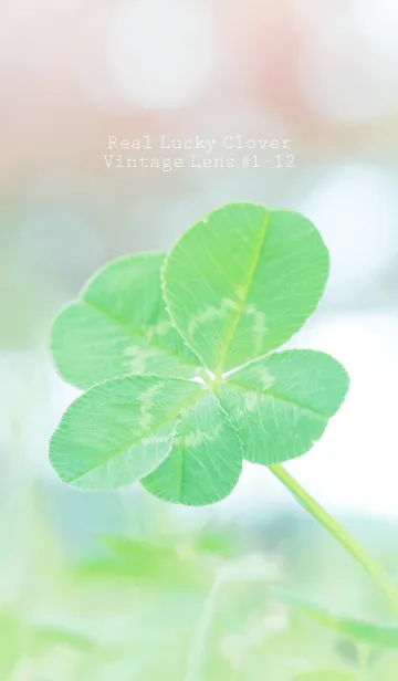 [LINE着せ替え] 四つ葉のクローバー Vintage Lens #1-12の画像1