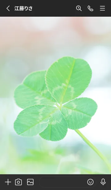 [LINE着せ替え] 四つ葉のクローバー Vintage Lens #1-12の画像2