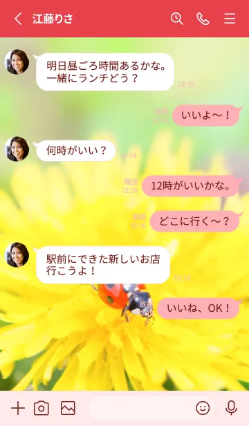 [LINE着せ替え] Ladybird Symbol of good luck #3-5の画像3