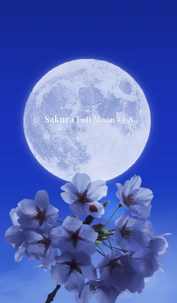 [LINE着せ替え] Sakura Full Moon #1-8の画像1