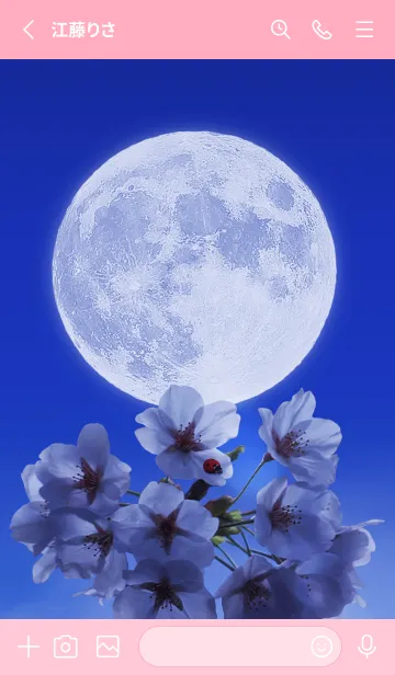 [LINE着せ替え] Sakura Full Moon #1-8の画像2