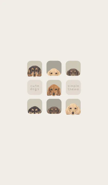 [LINE着せ替え] DOGS - ダックスフンド L - グリーングレーの画像1