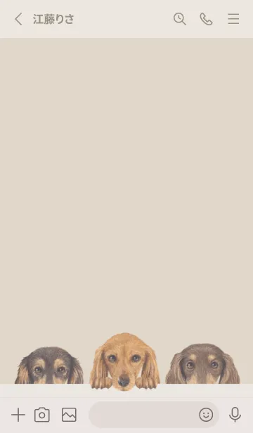 [LINE着せ替え] ダックスフンド L - パステルブラウンの画像2