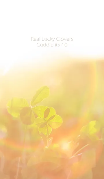 [LINE着せ替え] 四つ葉のクローバー Cuddle #5-10の画像1
