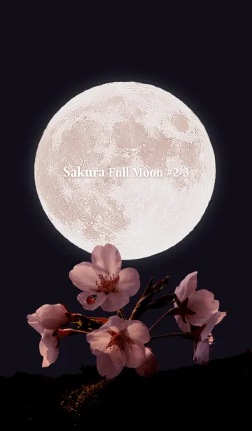 [LINE着せ替え] Sakura Full Moon #2-3の画像1