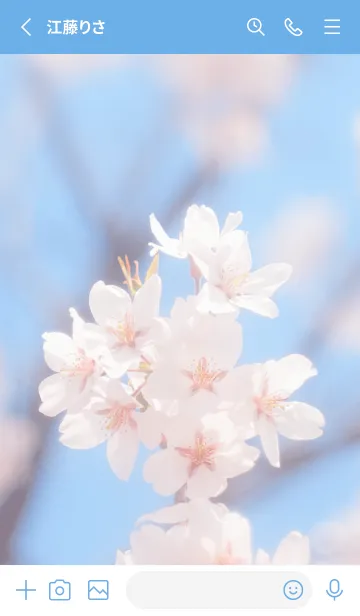 [LINE着せ替え] SakuraBokeh 27の画像2