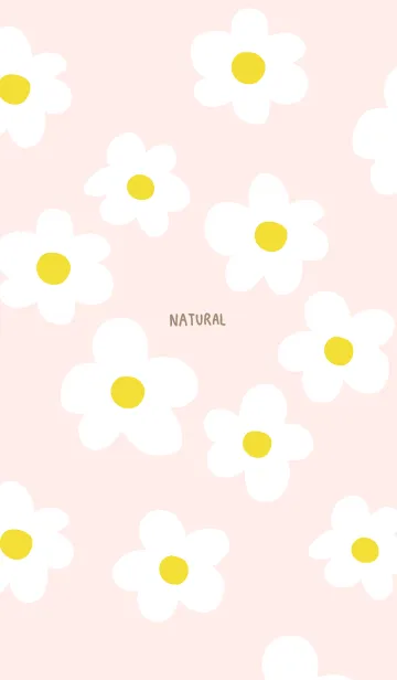 [LINE着せ替え] 白い花 おしゃれ27の画像1