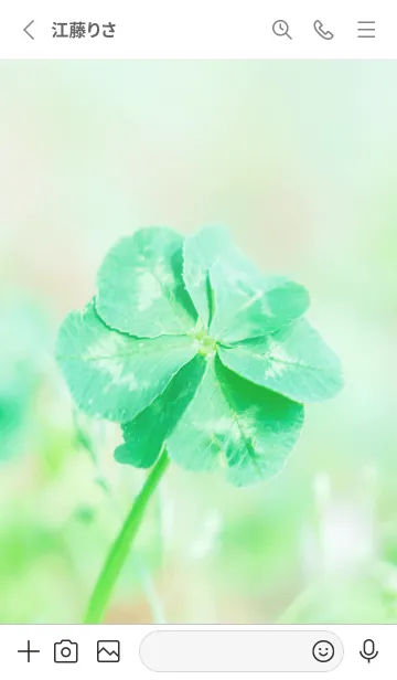 [LINE着せ替え] 七つ葉のクローバー 無限の幸福 #1-6の画像2