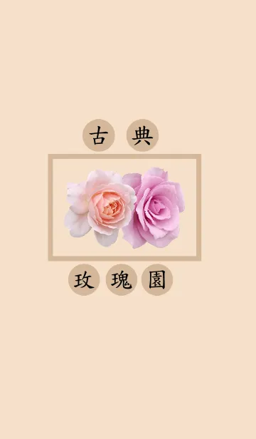 [LINE着せ替え] 2023 玫瑰 in Taipei II (改訂版)の画像1