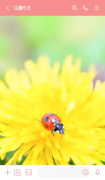 [LINE着せ替え] Ladybird Symbol of good luck #3-6の画像2