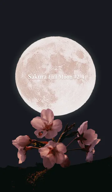 [LINE着せ替え] Sakura Full Moon #2-4の画像1