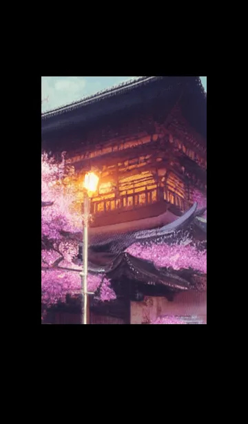 [LINE着せ替え] 和の夜桜#DP18。の画像1