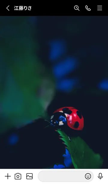 [LINE着せ替え] Ladybird Symbol of good luck #4-6の画像2