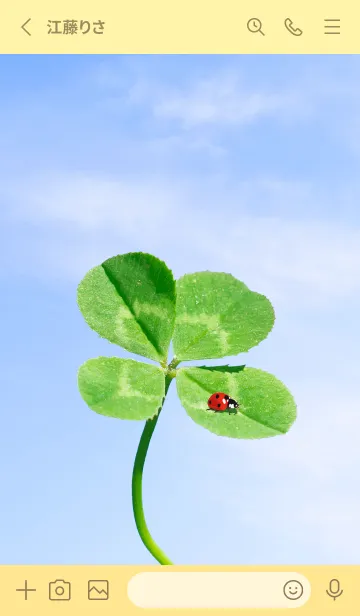 [LINE着せ替え] 四つ葉のクローバーとテントウムシ #4-3の画像2