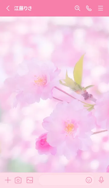 [LINE着せ替え] SakuraBokeh 31の画像2