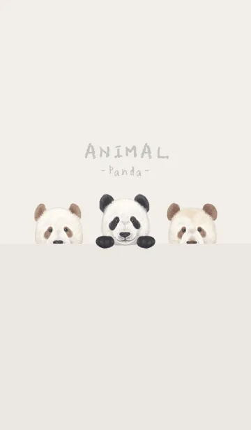 [LINE着せ替え] ANIMAL - パンダ - パステルアイボリーの画像1