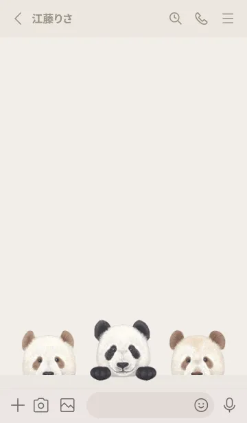 [LINE着せ替え] ANIMAL - パンダ - パステルアイボリーの画像2