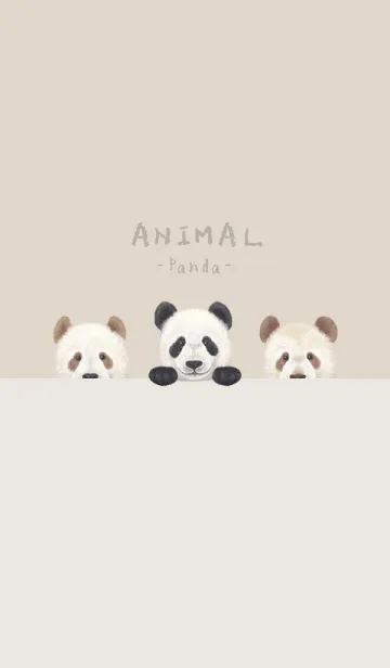 [LINE着せ替え] ANIMAL - パンダ - パステルブラウンの画像1